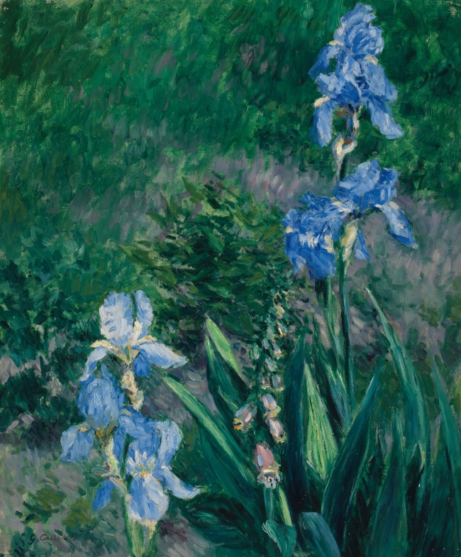 Iris bleus, jardin du Petit Gennevilliers, 1892, Gustave Caillebotte, Art Gallery of Ontariote 