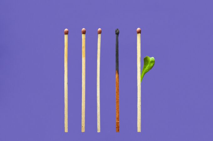 Photo of matches, three tips burned, one matchstick burned, one whole with a leaf growing from it to represent hope from burnout.