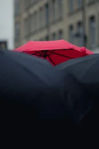 Umbrellas